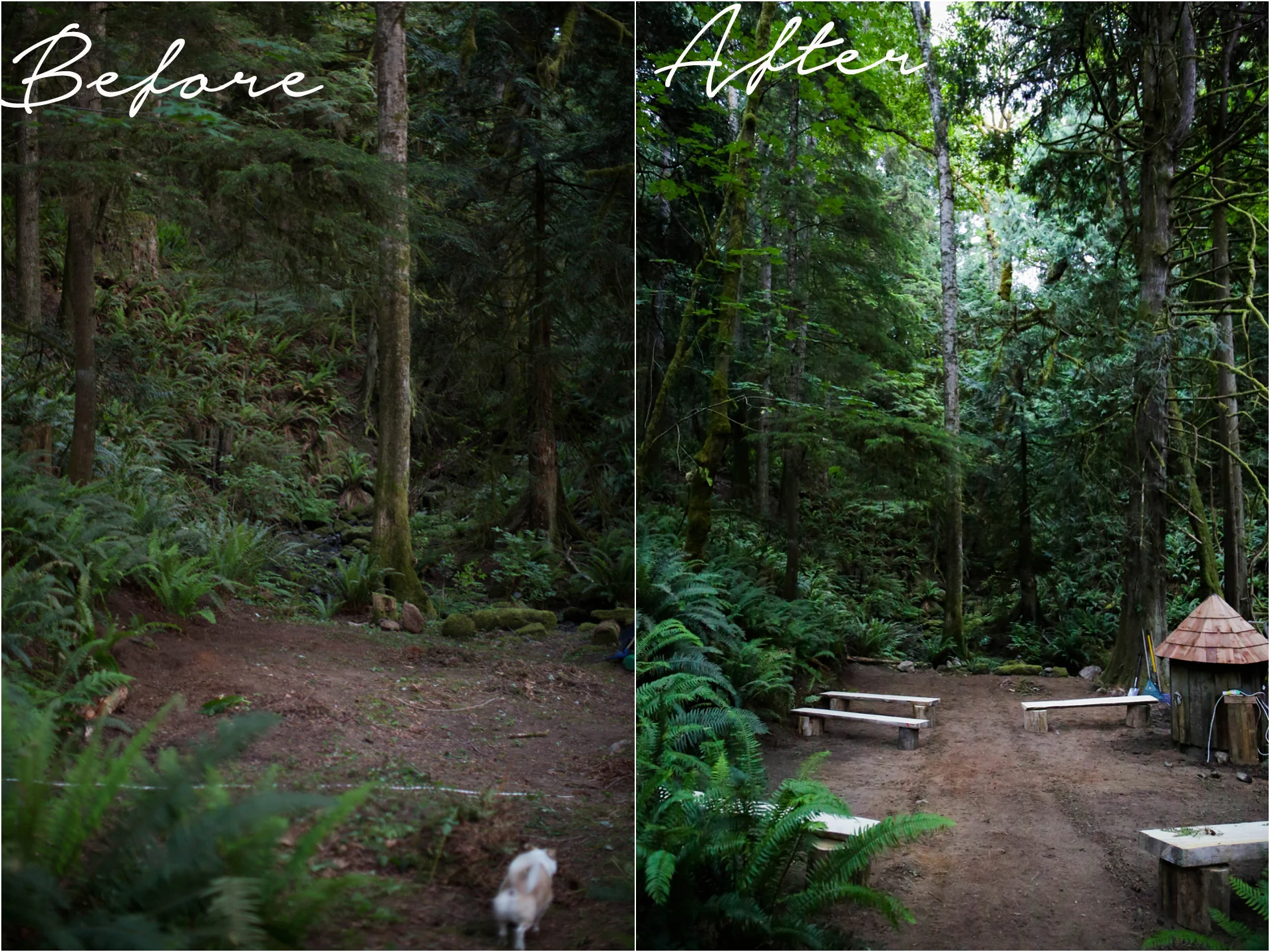 Check out that hard work! It still looks really small in photos to me. In real life it is more like a natural cathedral. We are thinking of naming the space Natures Cathedral.