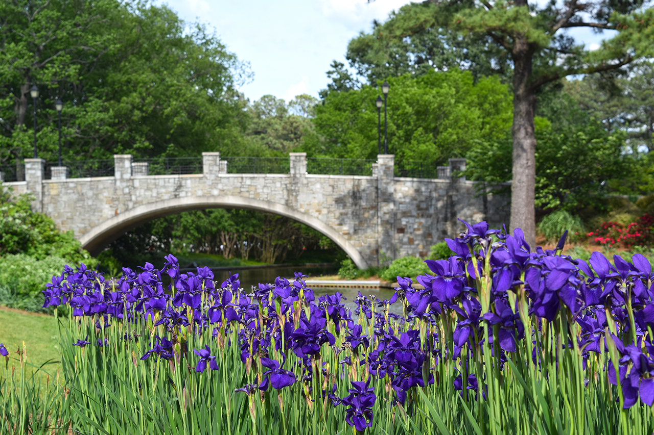 Norfolk Botanical Gardens Grading Gardens