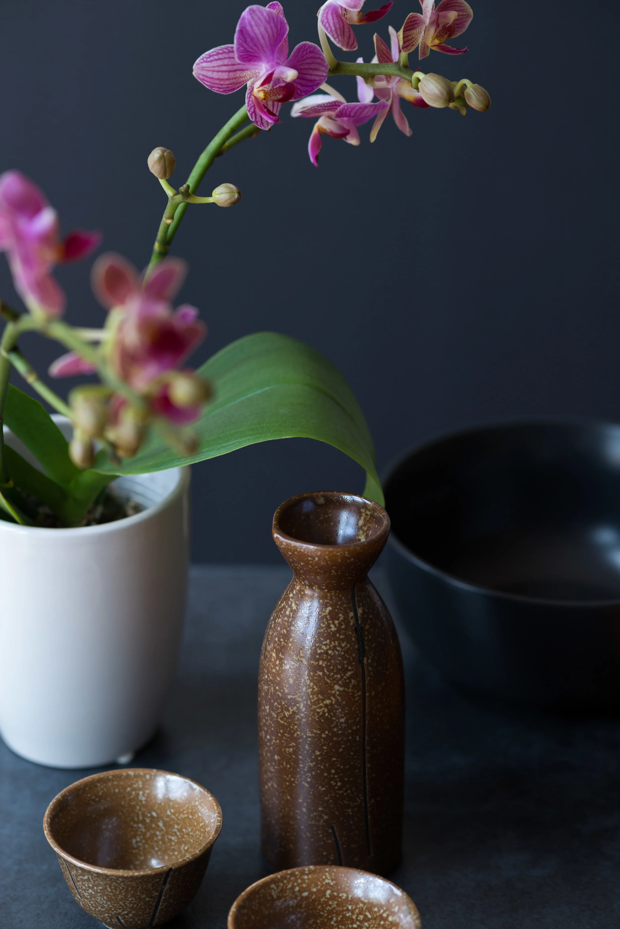 Sake and orchids-8112 (1 of 1).JPG