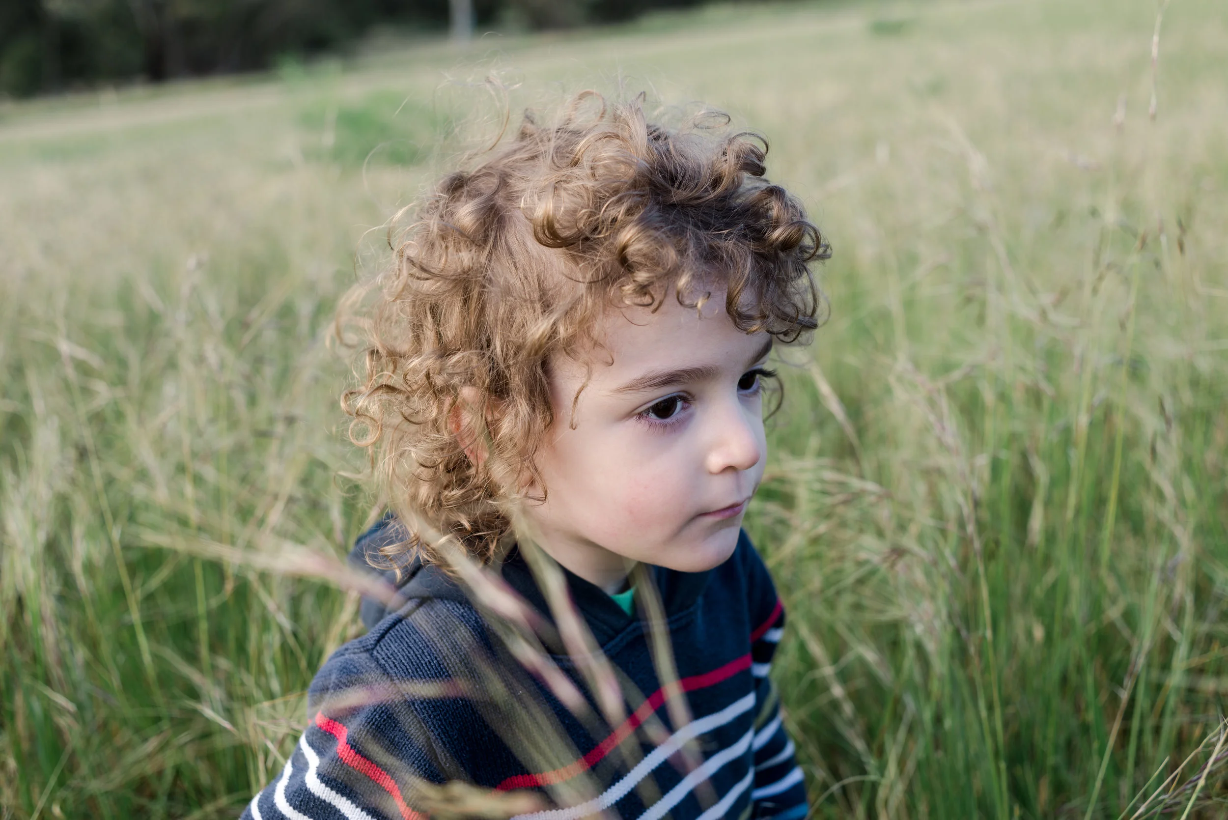 Profile of a young boy sitting in tall grass-01775.JPG