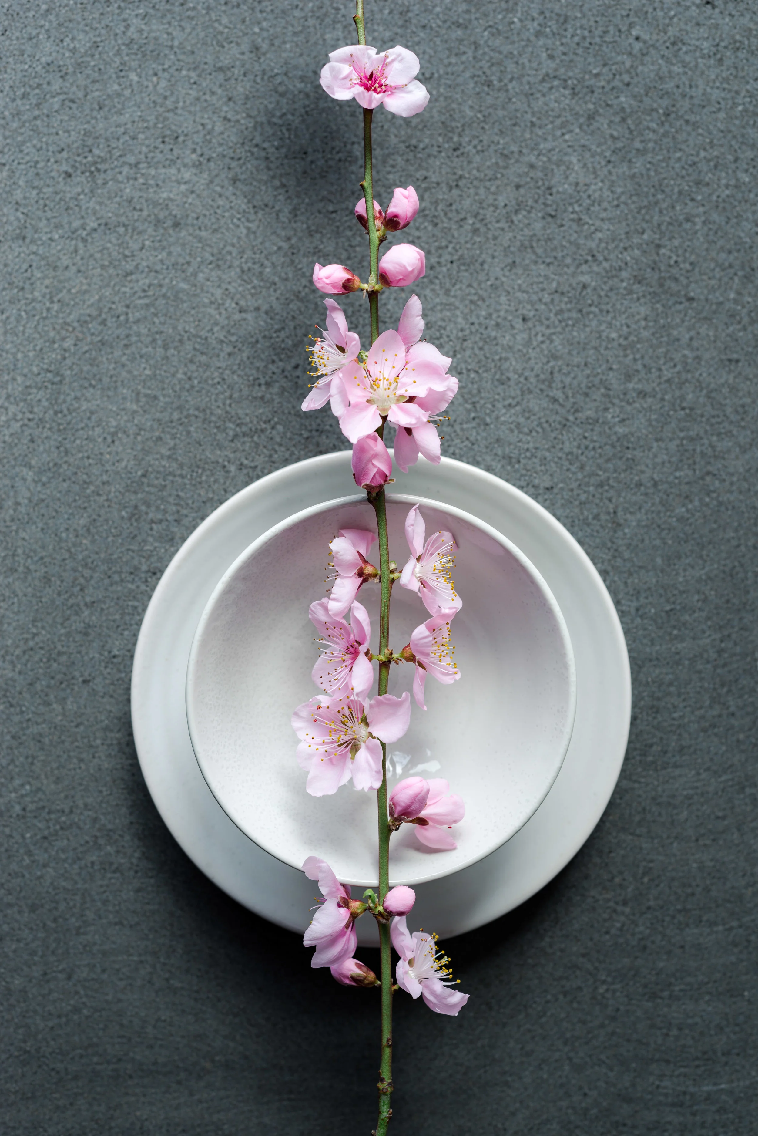 Cherry blossoms and ceramics-08686.JPG