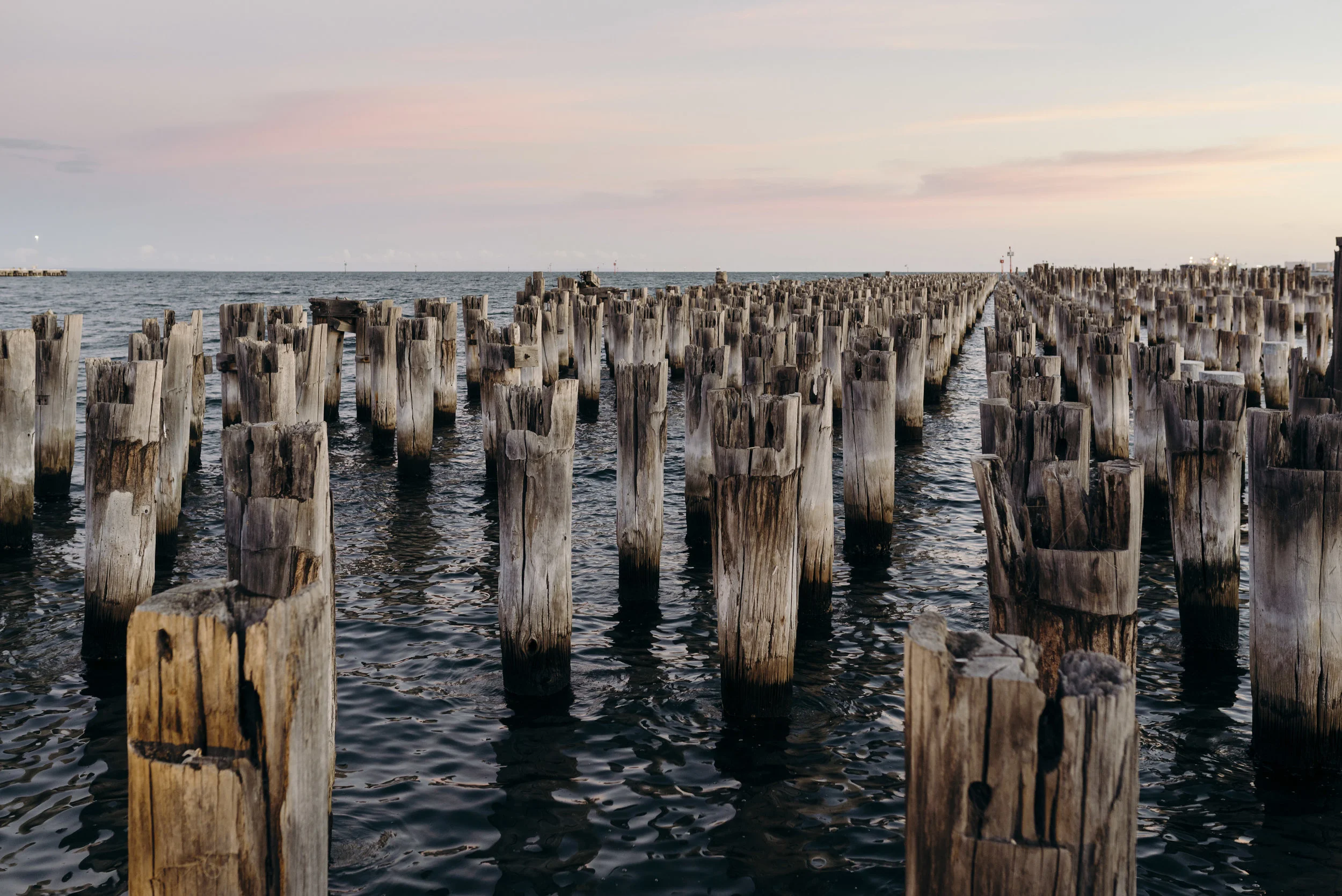 Princes Pier-MNewnan-09350.JPG