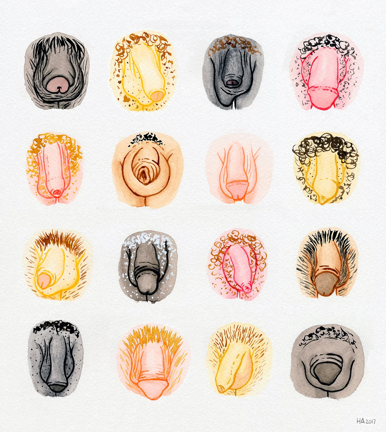 Hilde Atalanta - Penis Gallery - Het Parool (small).jpg