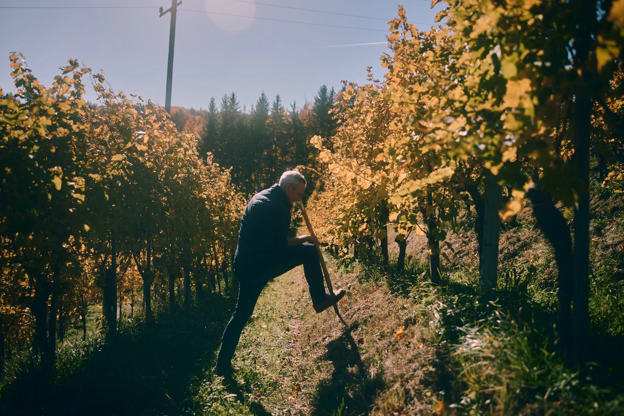 TSCHEPPE_8F9A7005.jpg