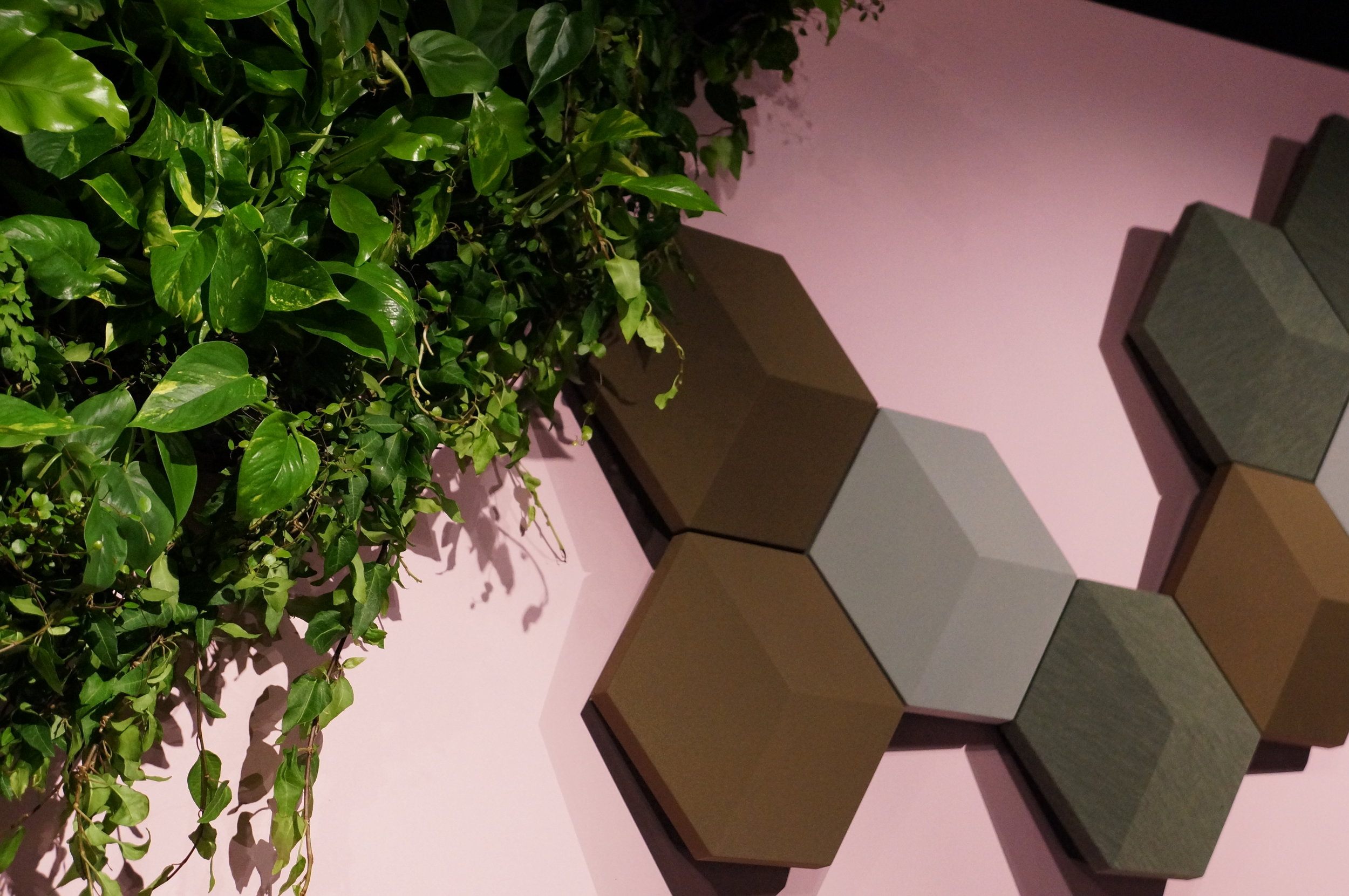 Pellizzoni at Masterpiece:Chris-7.JPG