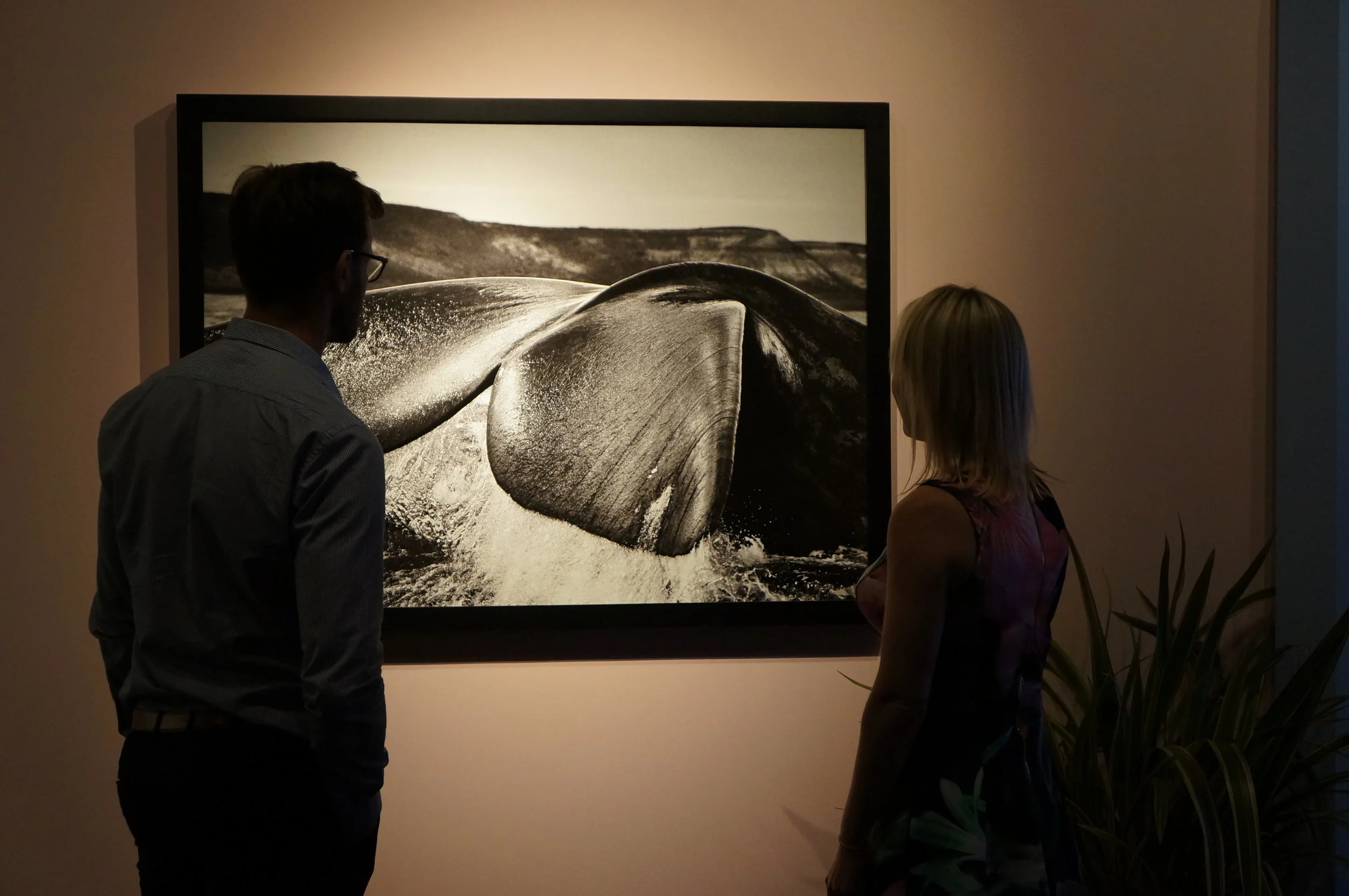 Pellizzoni at Masterpiece:Chris-11.JPG