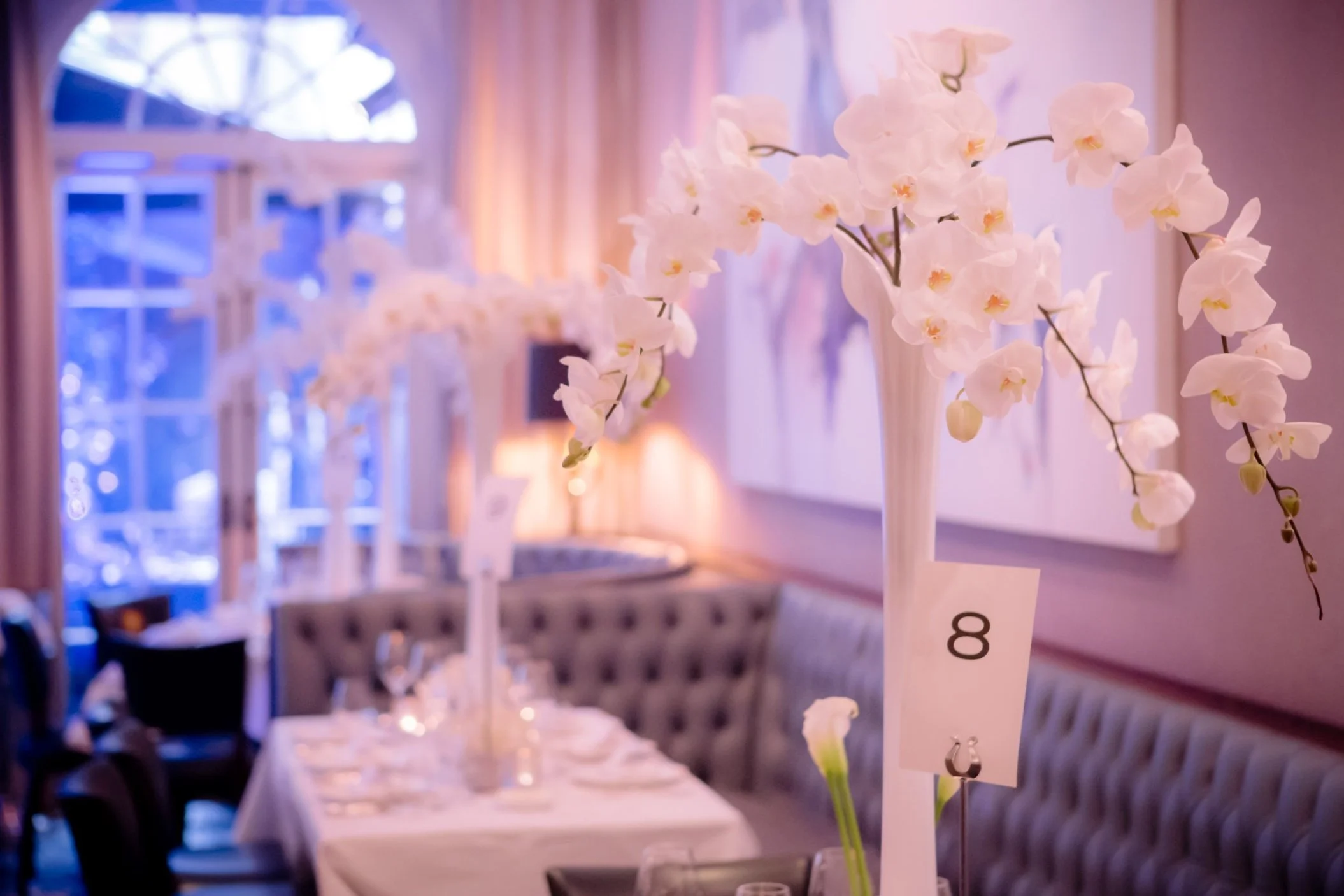 Cotran+Wedding+-+08.jpg