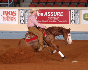 CN SMOKIN STAR, OWNED BY LEROY HOFFMAN