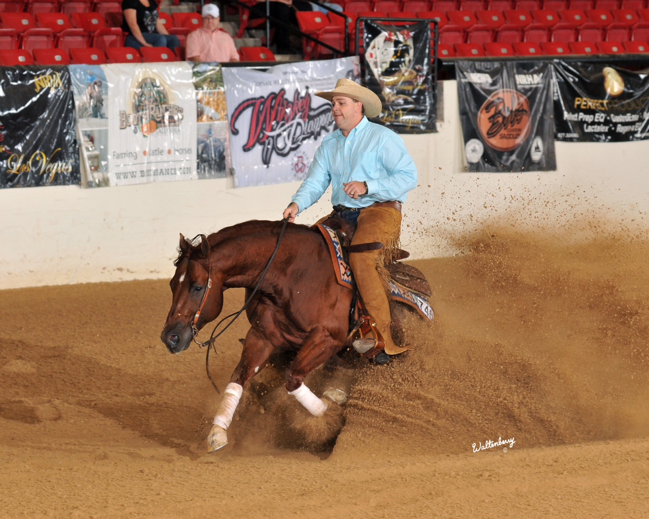 GUNNERS TINSELTOWN, OWNED BY SILVA REINING HORSES