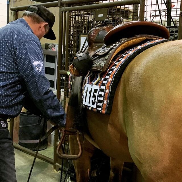 Saddled up and ready for Draw 15 on Magnum Little Step, owned by @robertleepeterson #backontrackusa #icehorse #equifuse #nutrenafeeds #excelsupplements #apfprosport #spaldinglabs #diamondwoolpads #continentalsaddlery