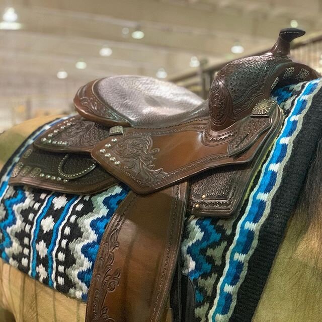 @continentalsaddlery @diamondwoolpads and @showstoppinpads - a winning combination! #showstoppinpads #diamondwoolpads #continentalsaddlery #ssph #samschaffhauser