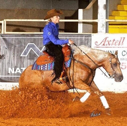 Congratulations to Erin McFarland on her purchase of Gold N Ebony, 💛🖤 and thanks to Mirjam and Andrea Stillo for letting her go! This is one cool mare, and we can&rsquo;t wait for Erin to meet her new ride this week! 🥂