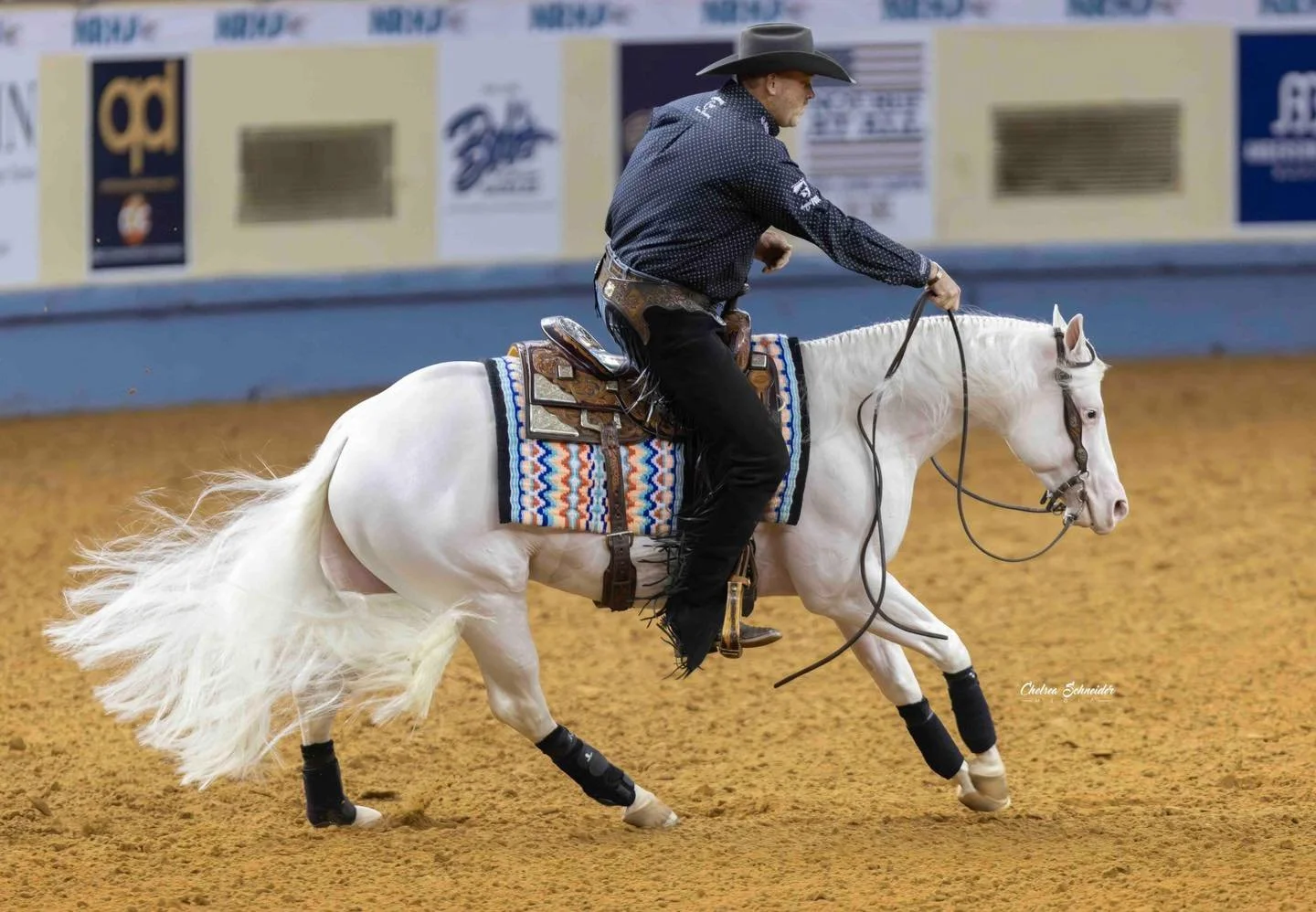 Preston circling.jpeg