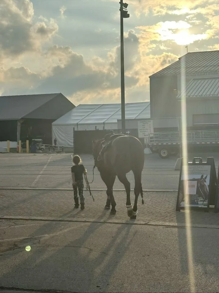 Dun Got My Rest &ldquo;Cruz&rdquo;
February 1, 2008 - October 2, 2025

There are no words to describe this horse or how thankful we were to have him in our family for the past 6.5 years. In and out of the show arena, he raised our girls, teaching the