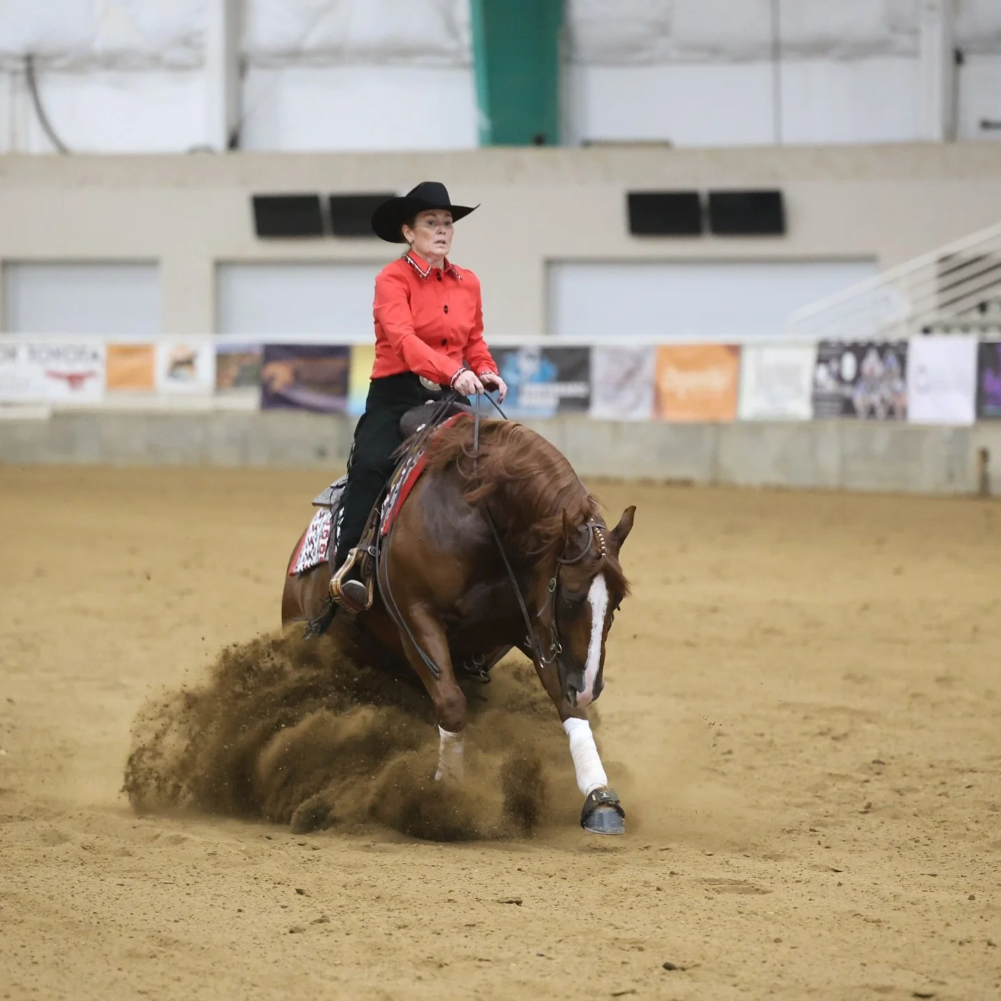 Prime Time Rookie Co-Champions, Shine Romeo Shine and Shawna DeMeyer! Congratulations! 🍾 

#schaffhauserph
#gotheextramile
#teamssph
#nrha
#samschaffhauser
#tributefeed
#mullinaxcustomleather
#agava
#diamondwoolpads
#crossjtack
#glowingresults
#spal