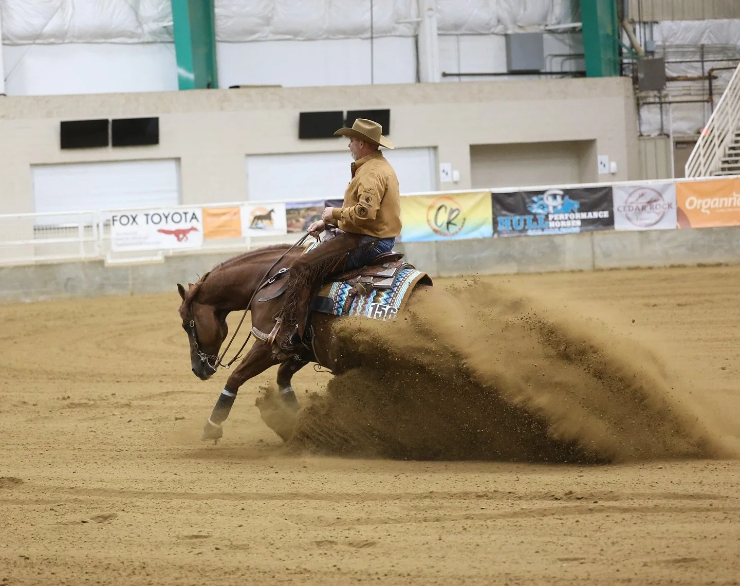 Novice Horse Open 3 Champion, Shine Romeo Shine owned by Shawna DeMeyer. Congrats! 🎉