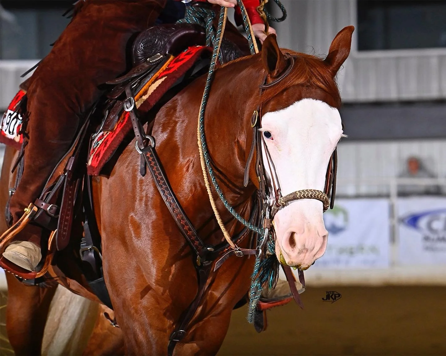 Because plain just isn&rsquo;t our thing 🔥 #CrossJTack #DonRichSaddlery