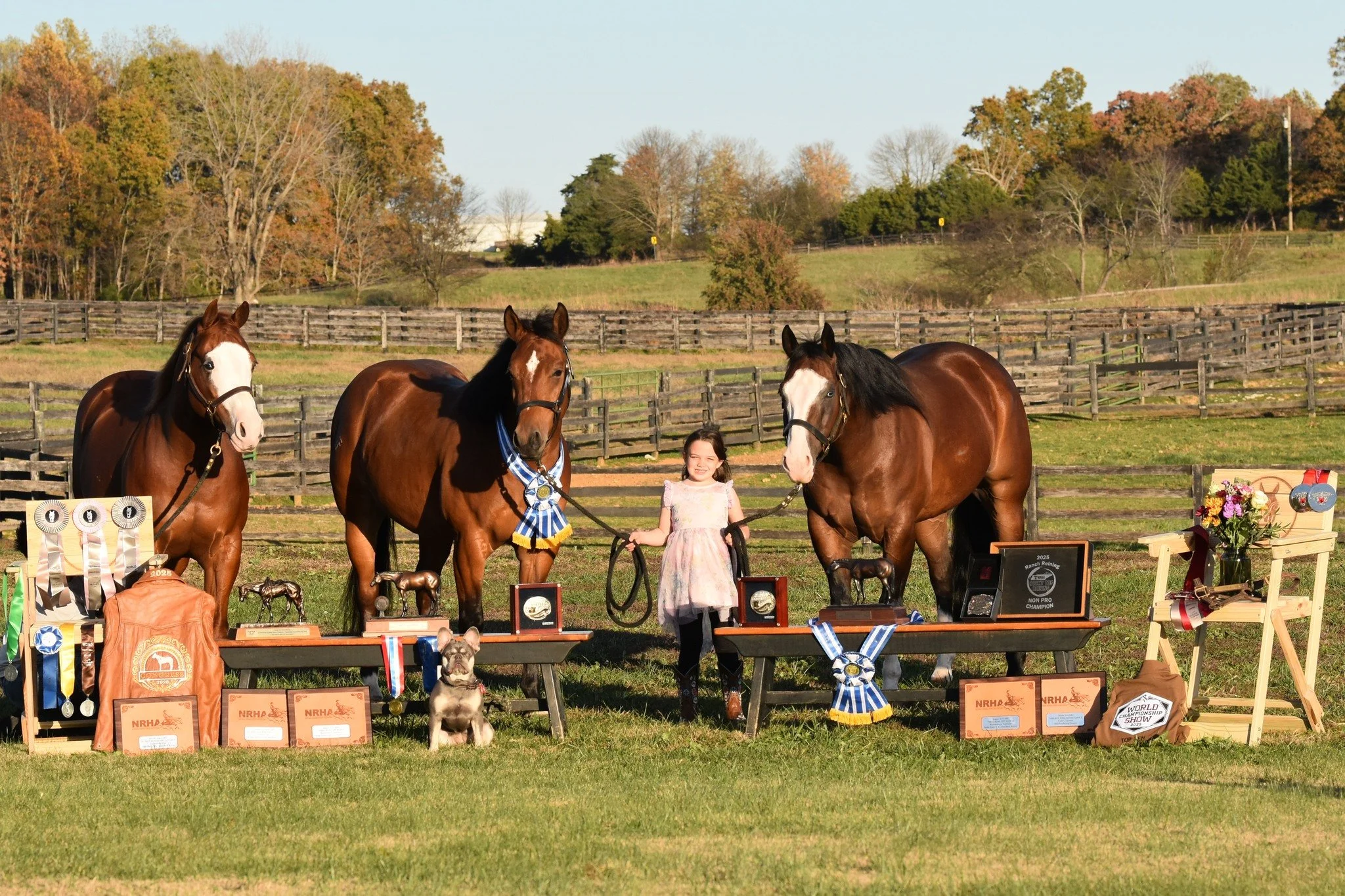 2025 was a big year for Riley full of lessons about people and horses, successes and failures, grit, tears, growth, and finding a reason to carry on riding. Pictured: A Congress Champion and the two beautiful souls who helped heal a little girl's hea