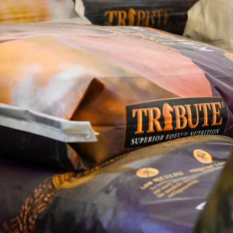 You&rsquo;ve asked, so we&rsquo;re answering! 

We&rsquo;re so happy to be heading into the new year with a nutrition program we believe in whole-heartedly! Tribute Kalm N EZ is our go-to feed, which keeps our show horses in top shape. We love that i