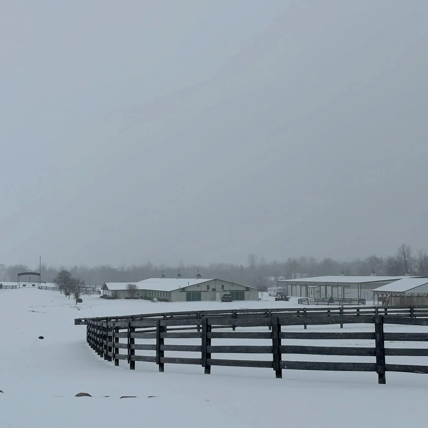 Beautiful and peaceful at the ranch today. All horses got out yesterday before the accumulation was too much, and indoor hand walks today. Snow should be finished here within the hour, so we are planning to be back to regular operation tomorrow after
