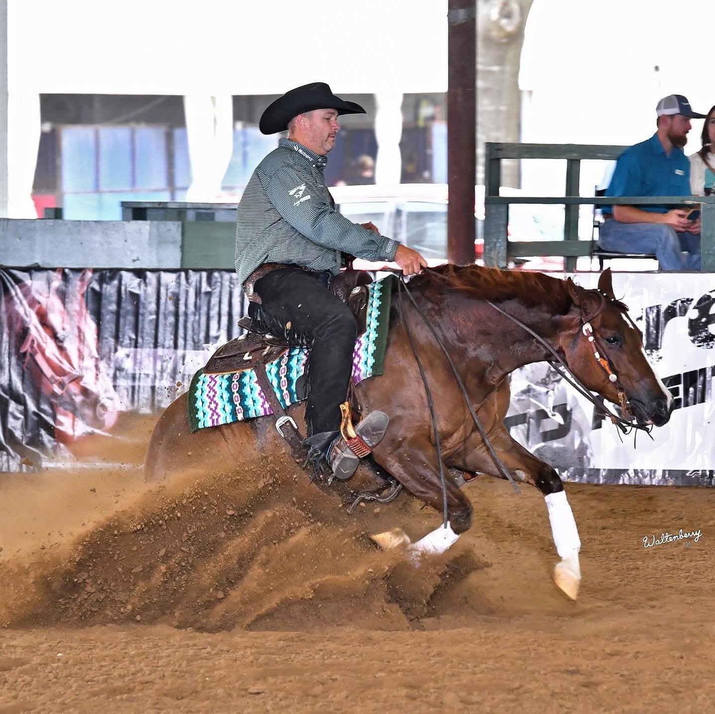 Looking for a super special broodmare?
- EASTER GUNNY 🐣 IS AVAILABLE -
It&rsquo;s been a great run, and it&rsquo;s time for her to start her breeding career. With NRHA earnings of nearly $40,000, Congress and Derby Championships, a Million Dollar Si