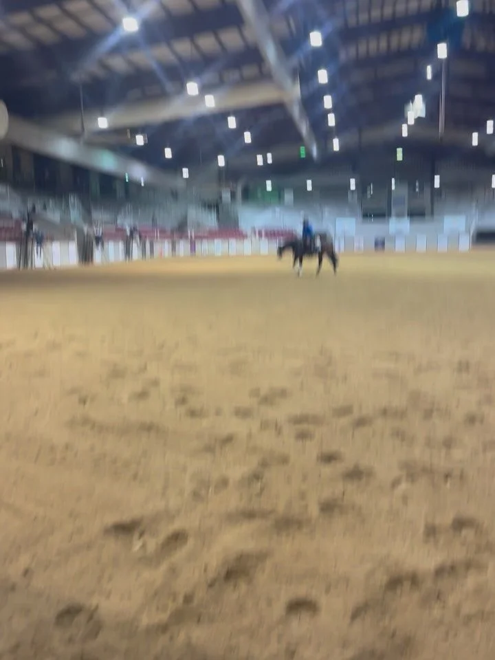 Sam and Gunnaroost with a 220 and Reserve honors in the L2 Open Maturity and NRHA Open, plus 3rd in L4 Open Maturity for owner Marcy Strong! Such an awesome horse. Thank you, Marcy, for the opportunity!

#schaffhauserph
#gotheextramile
#teamssph
#nrh