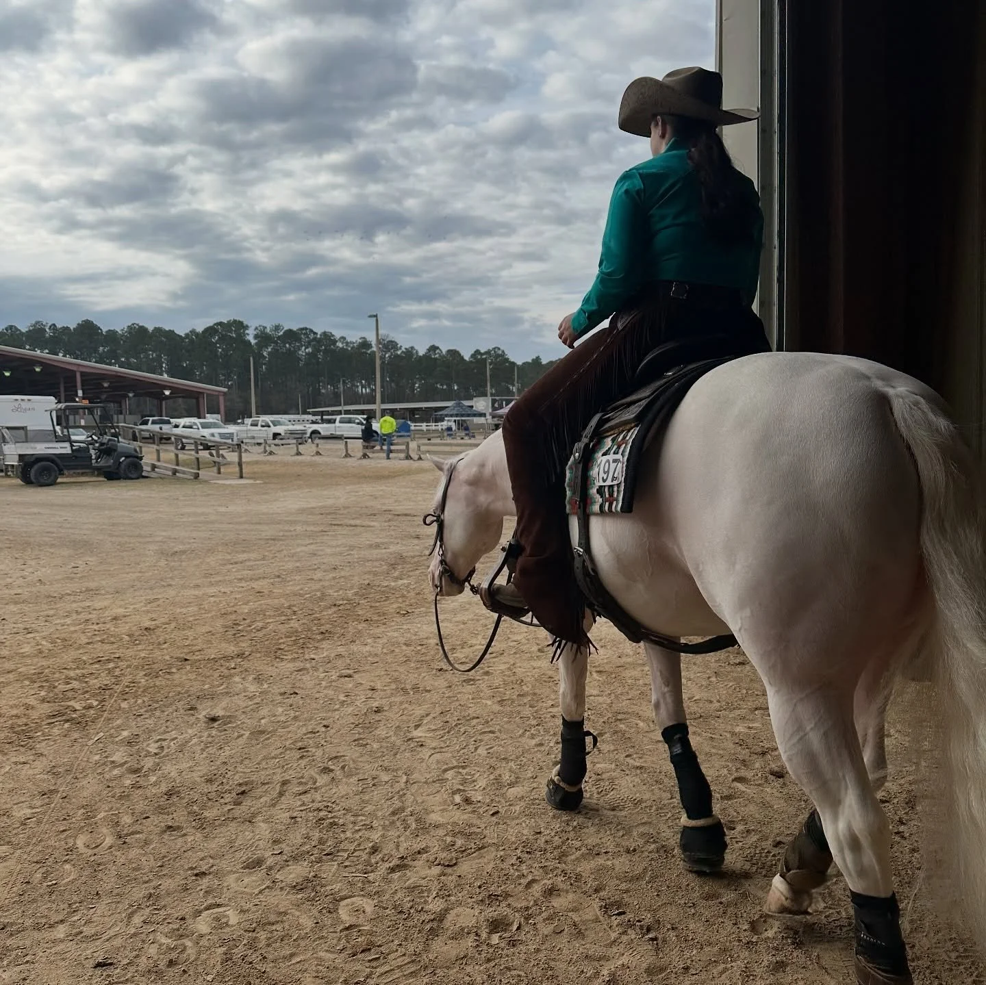 Home and back to business as usual after an epic FL Classic with the coolest clients, top show management, great ground, and sunshine. What a way to start the year! A few behind the scenes with SSPH to keep the sunshine going. 😊🌴

#schaffhauserph
#