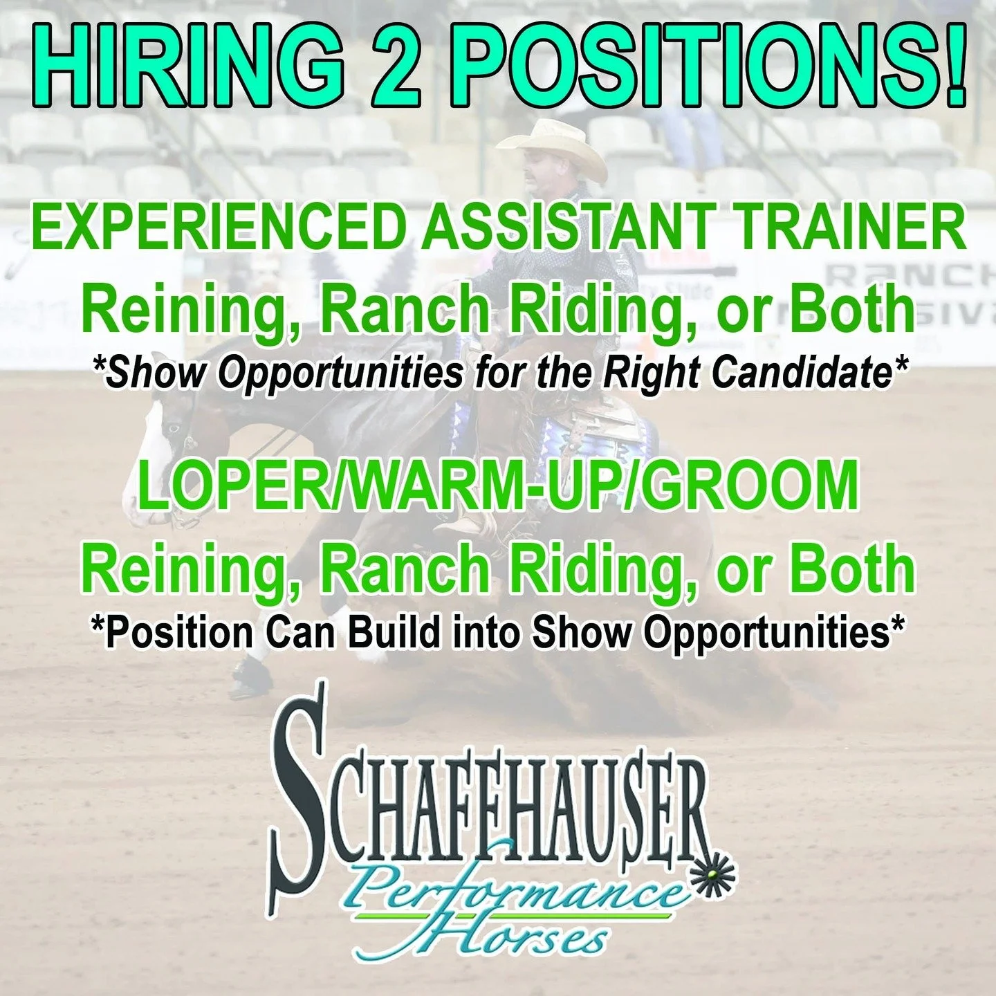 JOIN OUR TEAM! We will soon be in need of 1-2 Experienced Assistant Trainers and a Loper/Warm-Up/Groom! Send us a message or call/text Jeanna (870-219-2993) for more info.