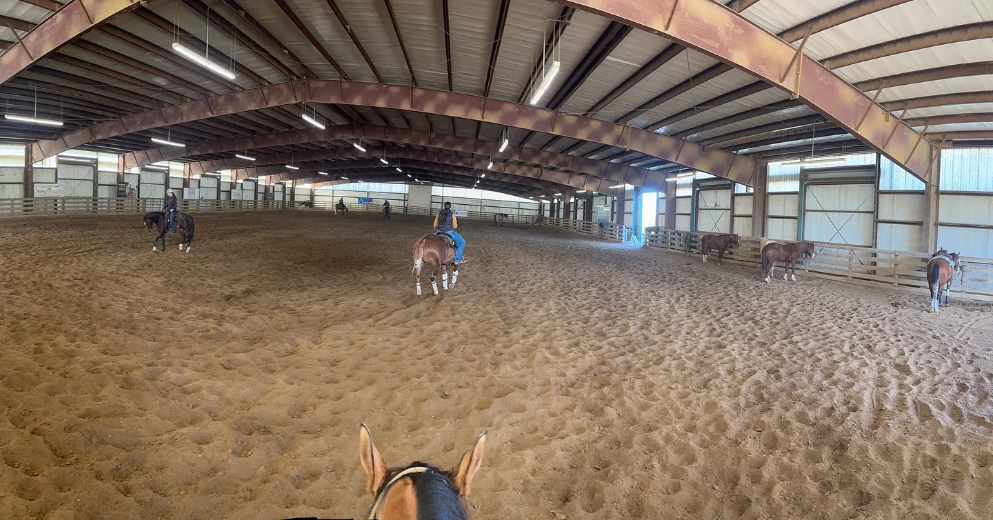 It&rsquo;s a 16 horses in the arena kind of day here at SSPH 😆💪👏

#schaffhauserph
#gotheextramile
#teamssph
#nrha
#samschaffhauser
#tributefeed
#mullinaxcustomleather
#agava
#diamondwoolpads
#crossjtack
#glowingresults
#spaldinglabs
#backontrackus
