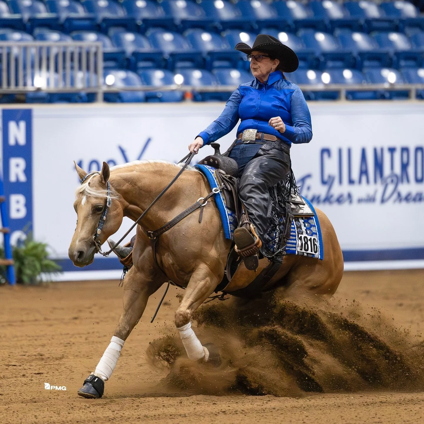 Erin McFarland and Gold N Ebony have been putting some pretty shiny stuff together here at the NRBC! 🤩

#schaffhauserph
#gotheextramile
#teamssph
#nrha
#samschaffhauser
#tributefeed
#mullinaxcustomleather
#agava
#diamondwoolpads
#crossjtack
#glowing