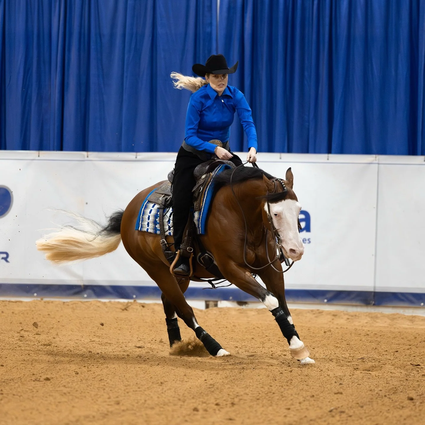 Run like your dreams depend on it! 🐎 

Great NRBC for Carrie Quraishi and A Vintage Spooks. 👊

#schaffhauserph
#gotheextramile
#teamssph
#nrha
#samschaffhauser
#tributefeed
#mullinaxcustomleather
#agava
#diamondwoolpads
#crossjtack
#glowingresults
