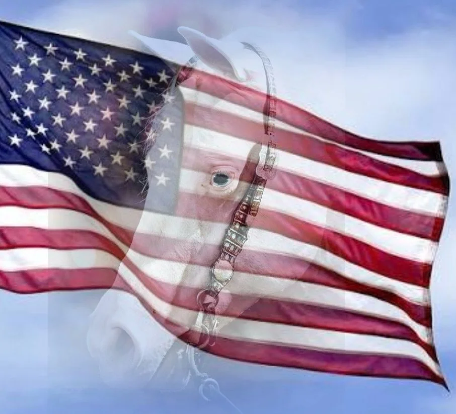 Freedom isn&rsquo;t free, and opportunity comes with a cost. There aren&rsquo;t enough words to express our gratitude for the sacrifices made by our service men and women.

🇺🇸 Happy Memorial Day 🇺🇸