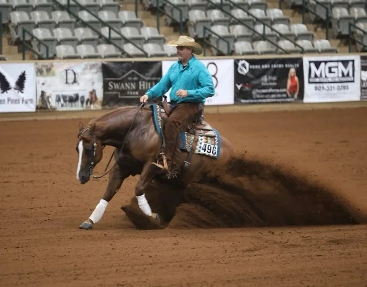 Buckeye Open Reserve Champion, Shine Romeo Shine, owned by Shawna DeMeyer! 🤩

#schaffhauserph
#gotheextramile
#teamssph
#nrha
#samschaffhauser
#tributefeed
#mullinaxcustomleather
#agava
#diamondwoolpads
#crossjtack
#glowingresults
#spaldinglabs
#bac