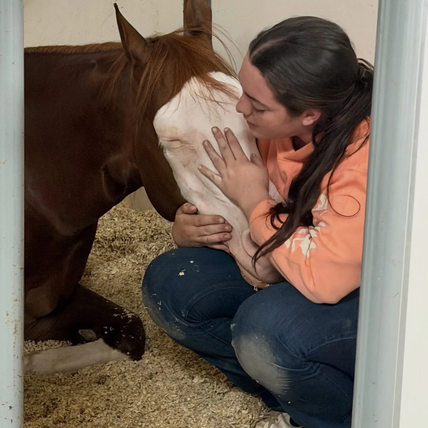 There&rsquo;s somethin&rsquo; about horses and somethin&rsquo; about the Buckeye! Thanks so much to the Buckeye team for putting on a top notch event that is so FUN, as always! ❤️

#schaffhauserph
#gotheextramile
#teamssph
#nrha
#samschaffhauser
#tri