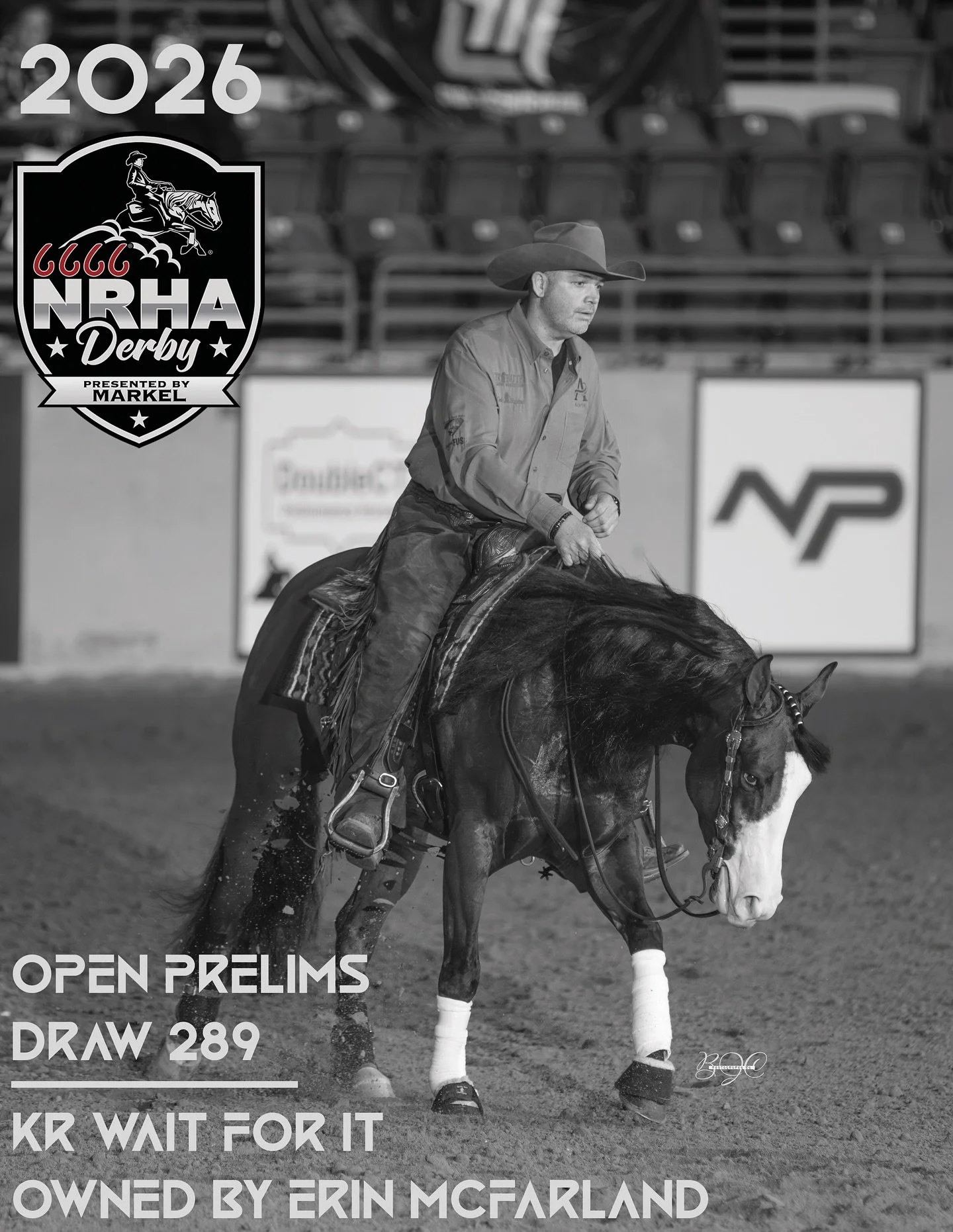 The NRHA Derby officially kicks off tomorrow morning with the start of the Open Prelims! Tune in Sunday to catch Sam and KR Wait For It owned by Erin McFarland at https://nrhaderby.com/livestream/

#schaffhauserph
#gotheextramile
#teamssph
#nrha
#sam