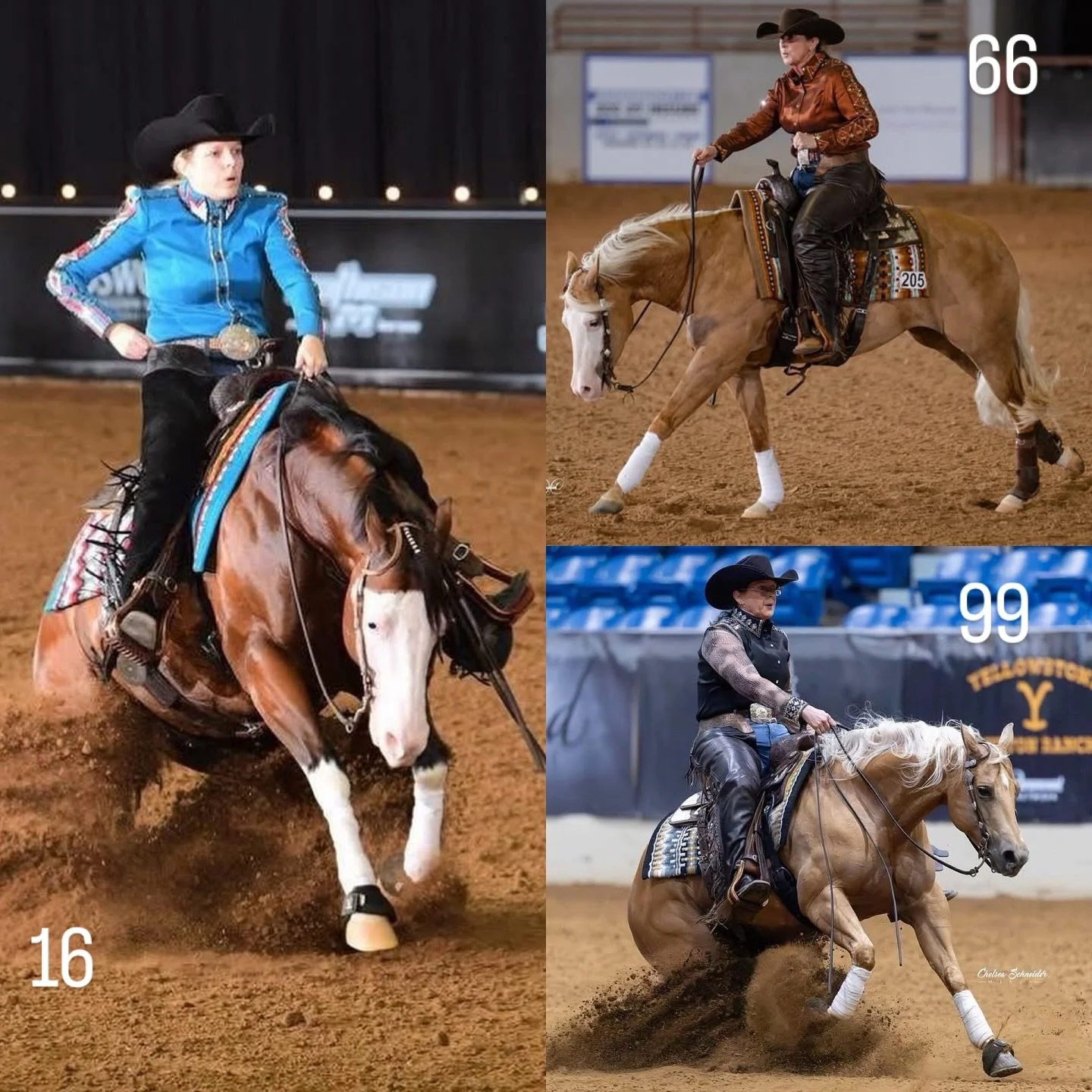 Tune in to the Novice Horse Non Pro in Adequan Arena, starting at 7 am! 

Carrie Quraishi &amp; A Vintage Spooks - draw 16
Erin McFarland &amp; Ms Hollywood Gun - draw 66
Erin McFarland &amp; Gold N Ebony - draw 99

Go team SSPH!

#schaffhauserph
#go