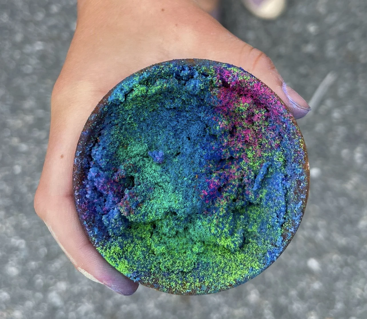 Nature Explorers Mini Camp for ages 4-8