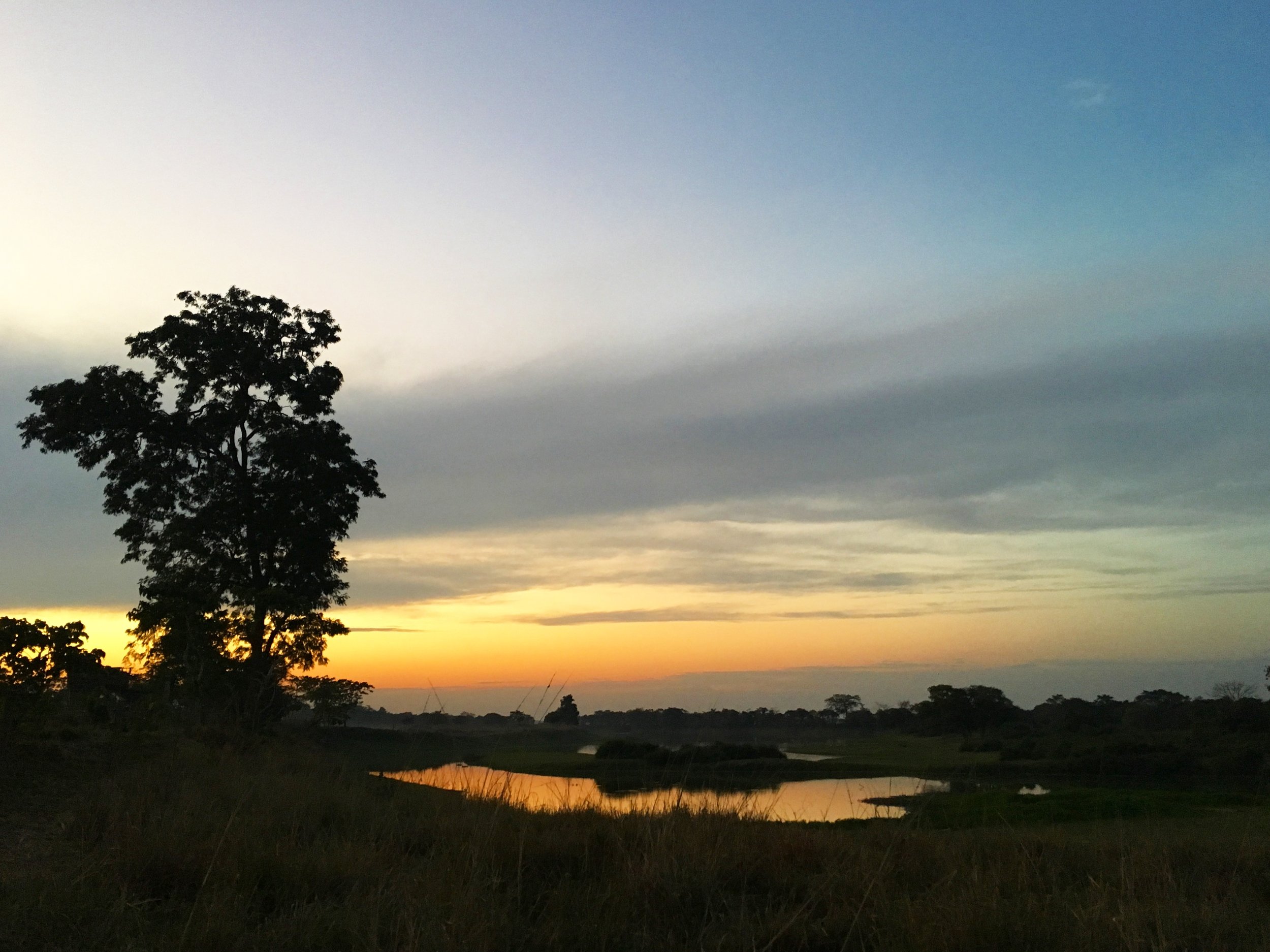 diphlu-river-lodge_32092613246_o.jpg
