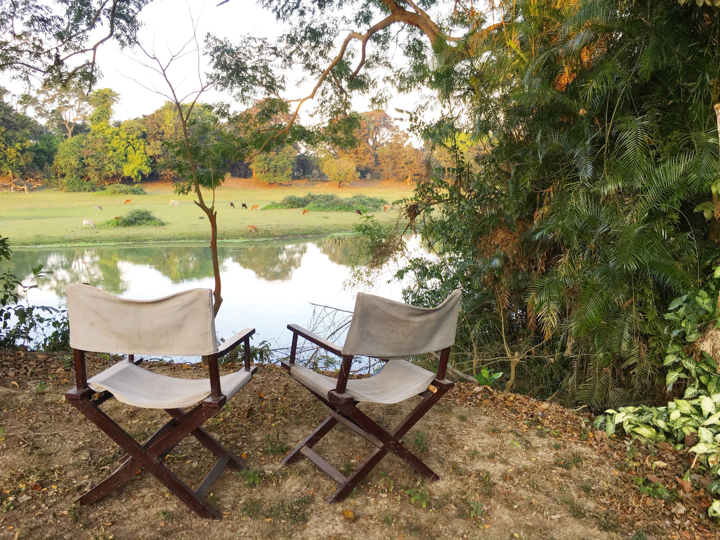 diphlu-river-lodge_32092614916_o.jpg