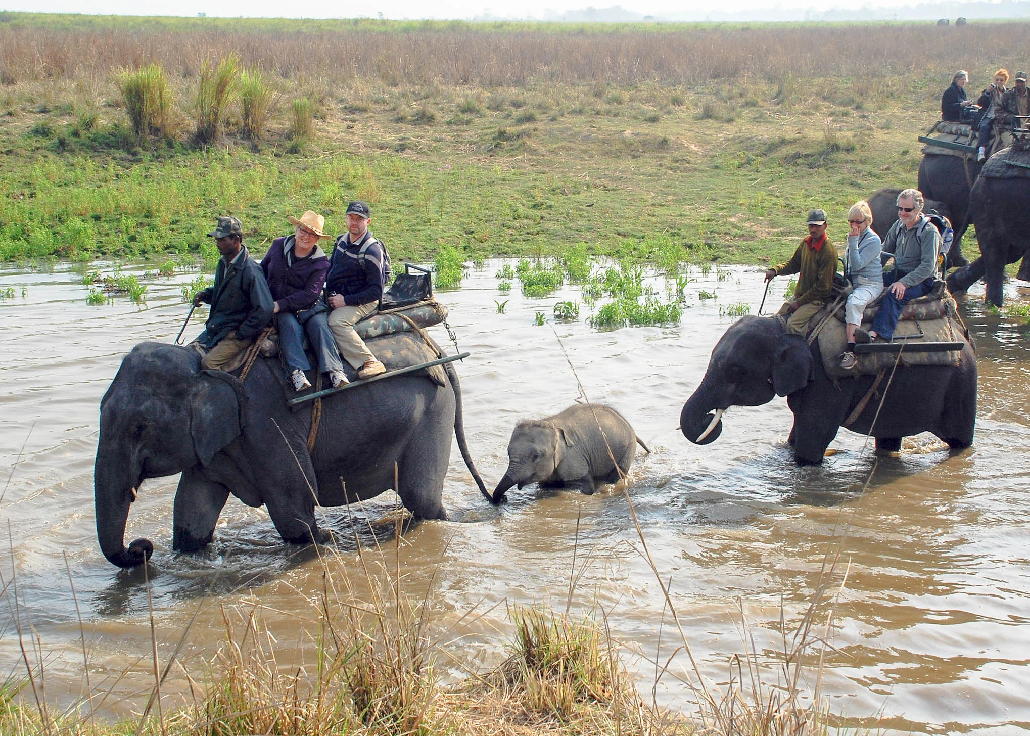 Elephant safari