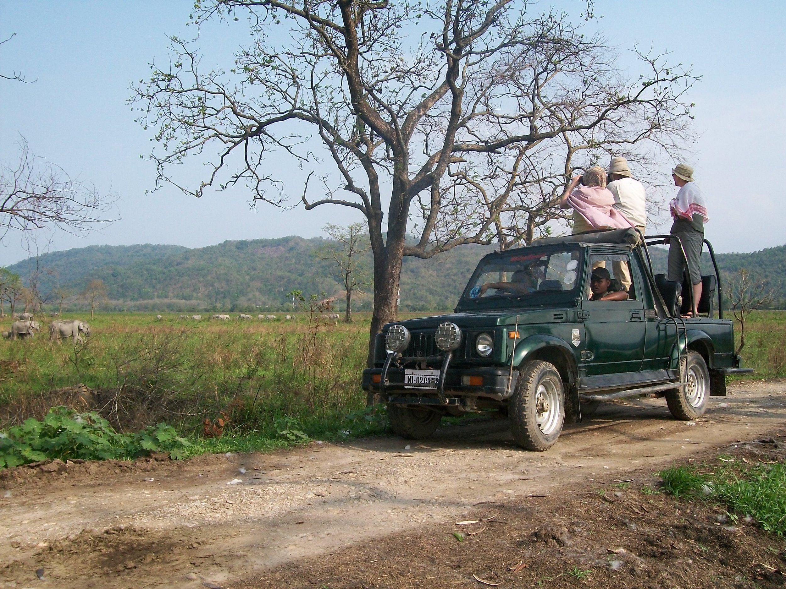 Jeep safari in KNP.jpg