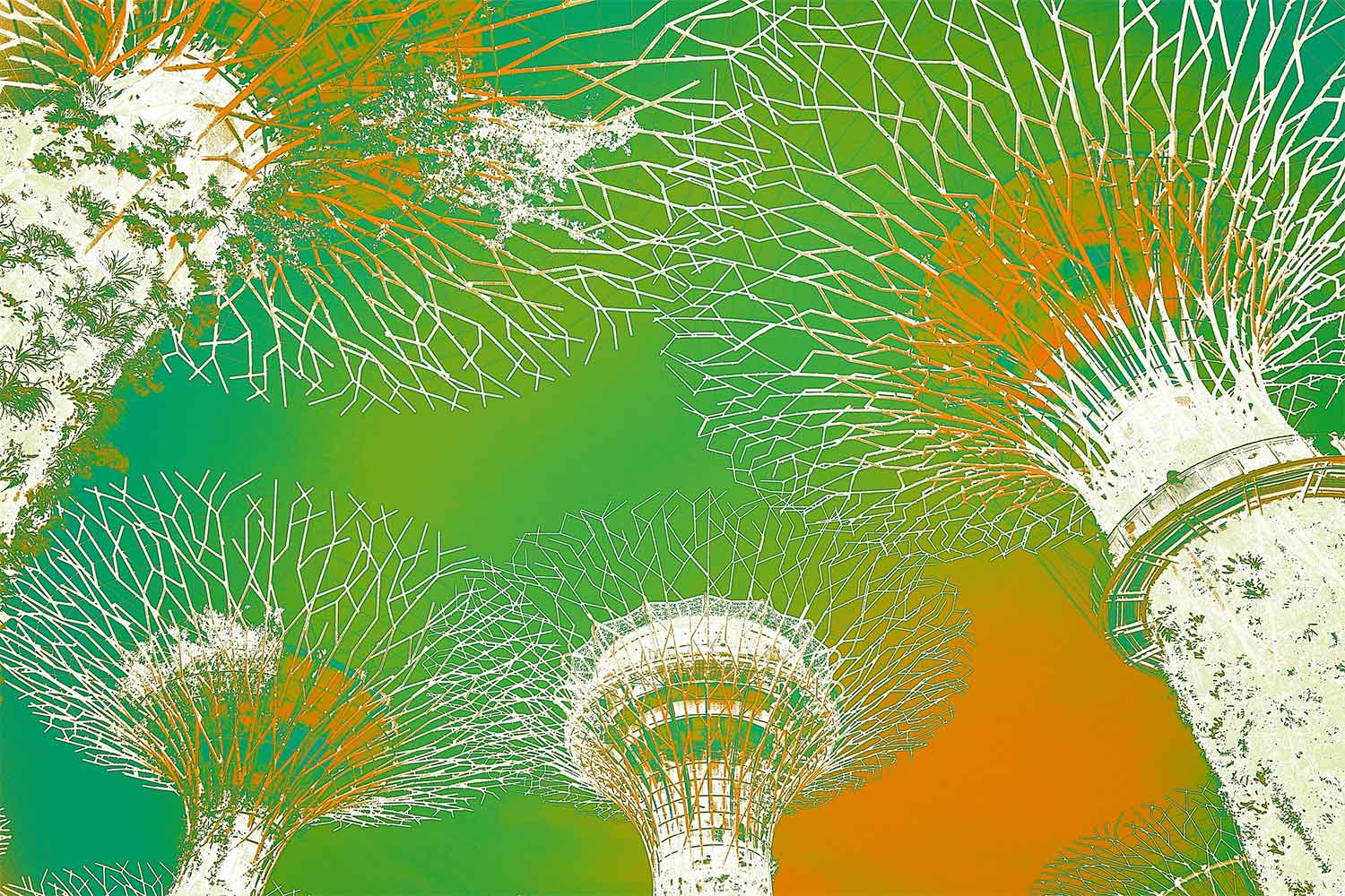 linda-preece-supertrees-orange-lime.jpg