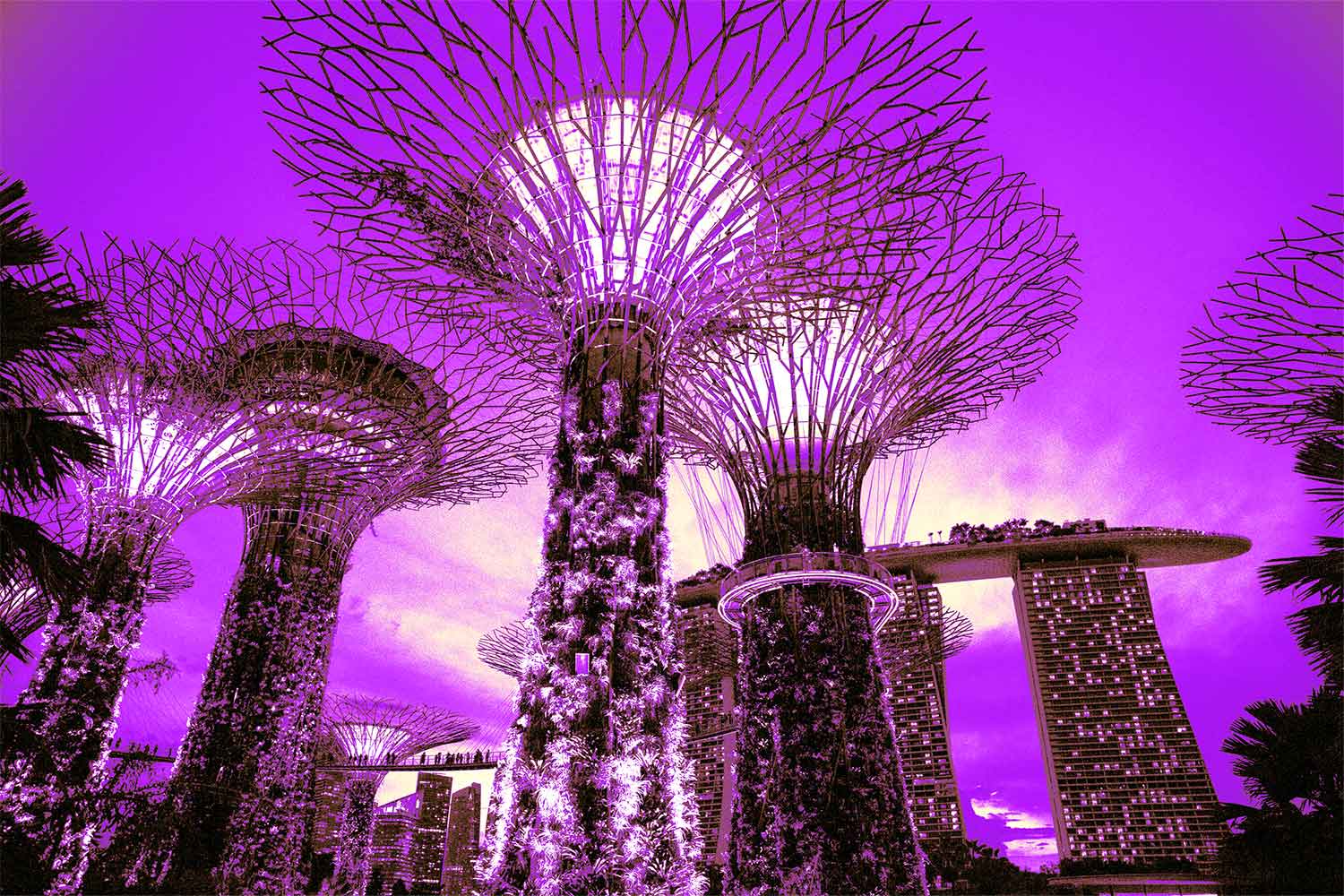 Gardens By The Bay, Singapore