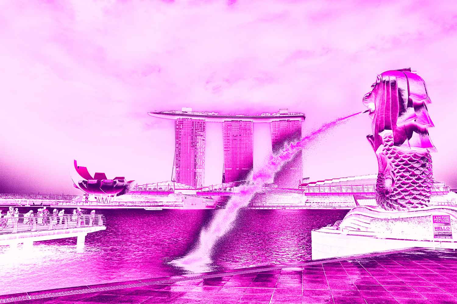 linda-preece-photography-pink-merlion.jpg