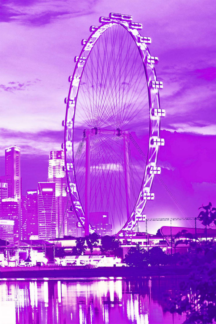 linda-preece-singapore-lavender-flyer-w.jpg