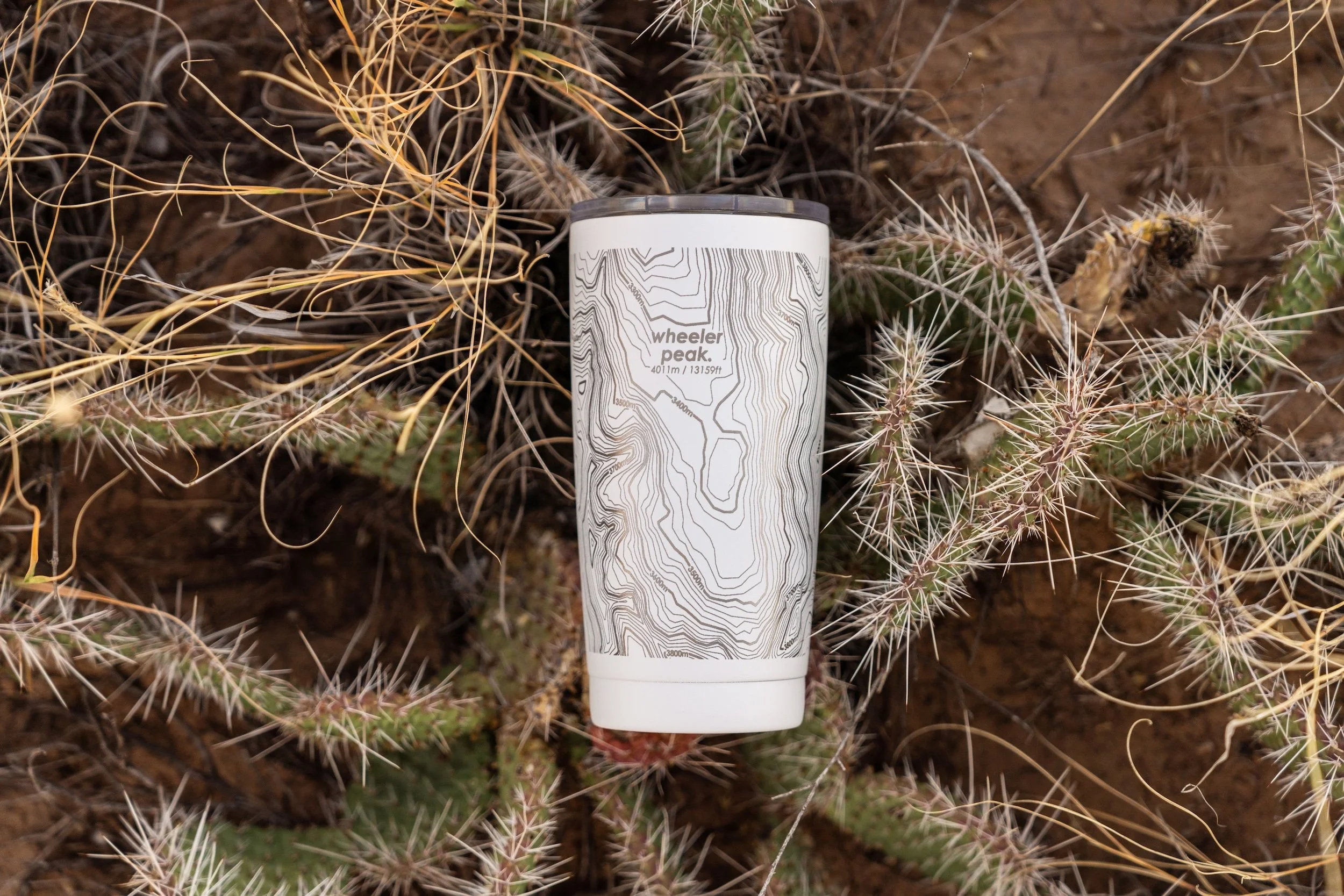 a top down shot of a white water bottle with elevation contours on it. it lays in a bed of cacti.