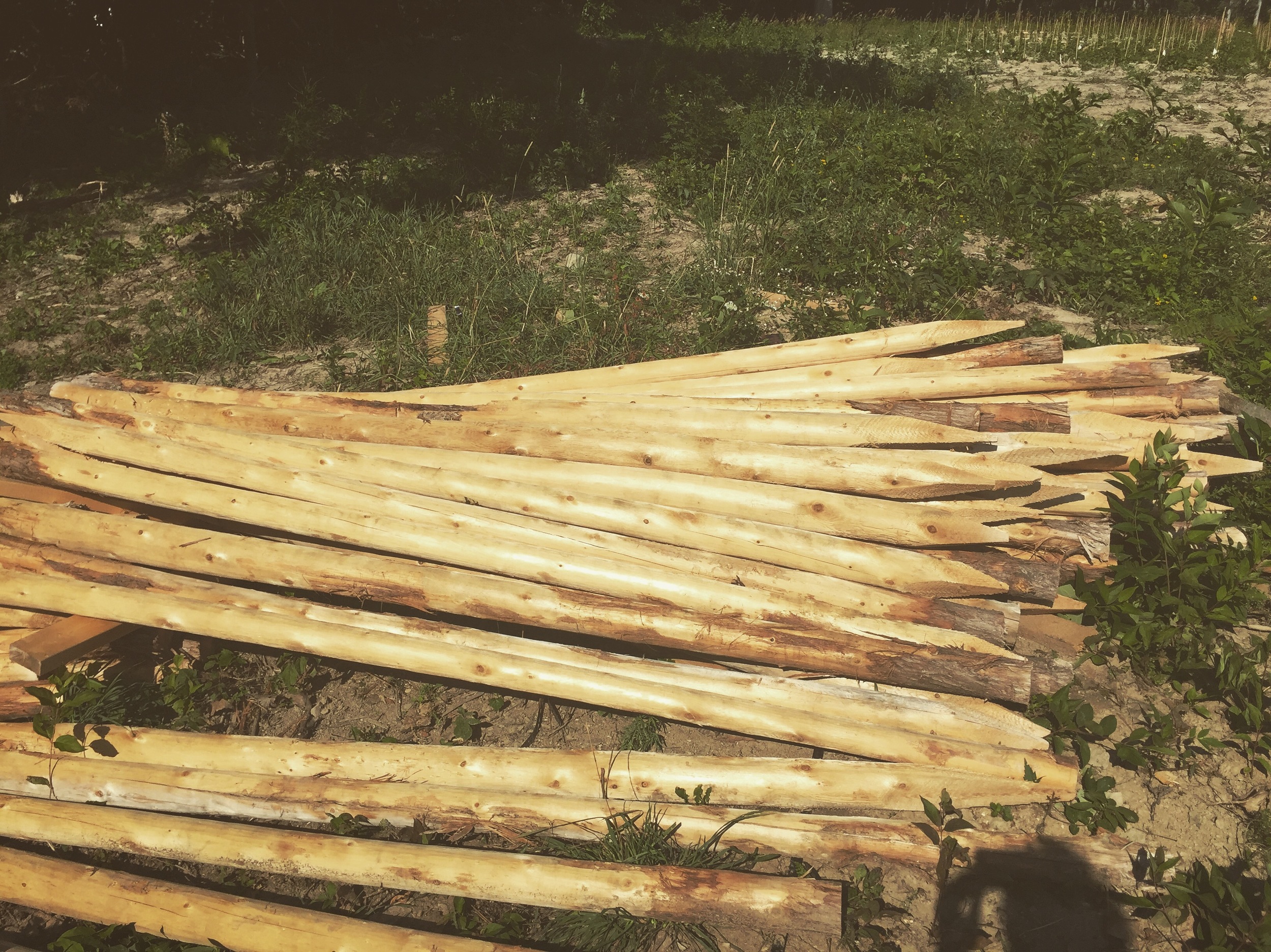 cedar vineyard posts