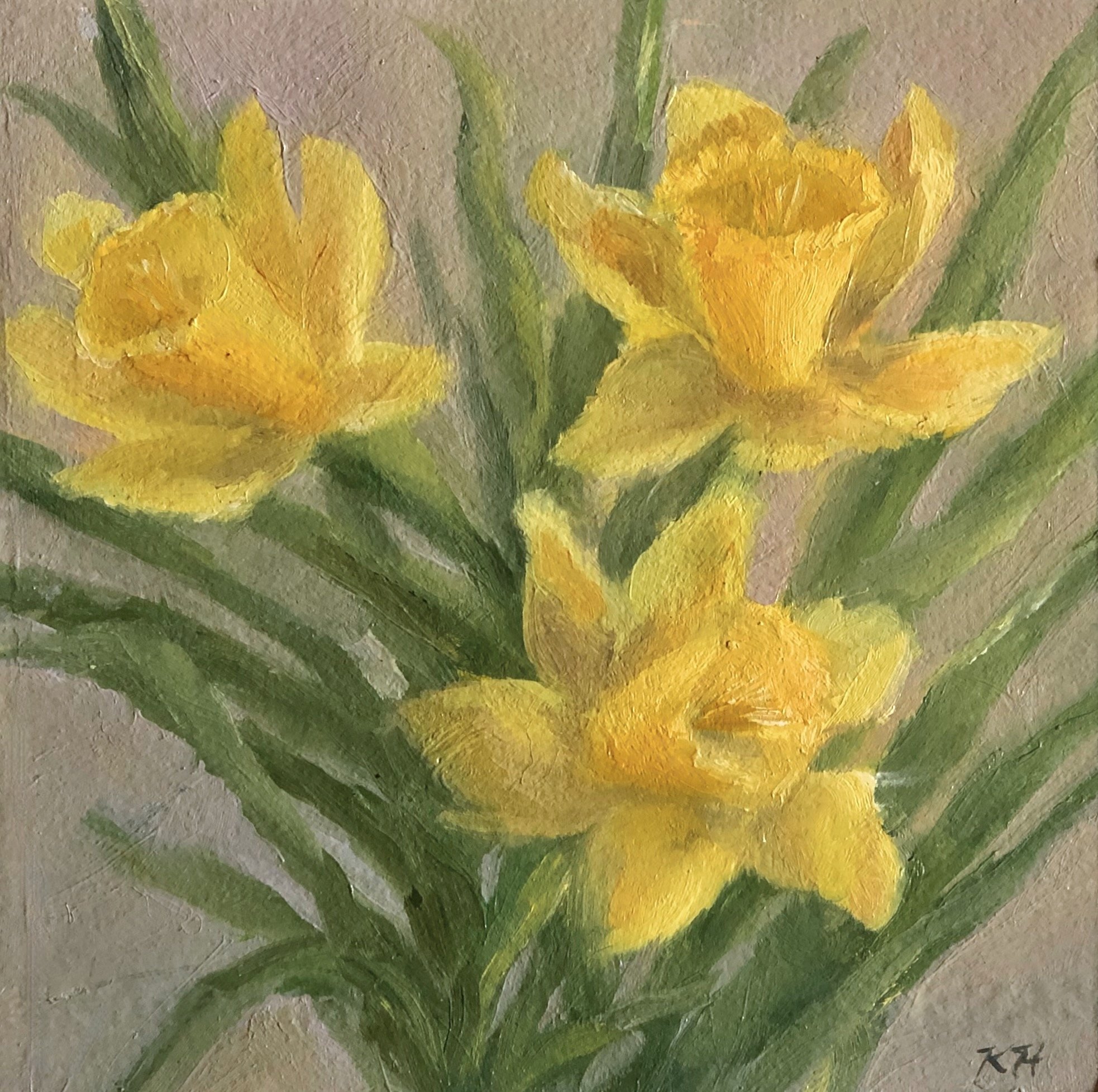 DaffodilBlooms-May2023.jpeg