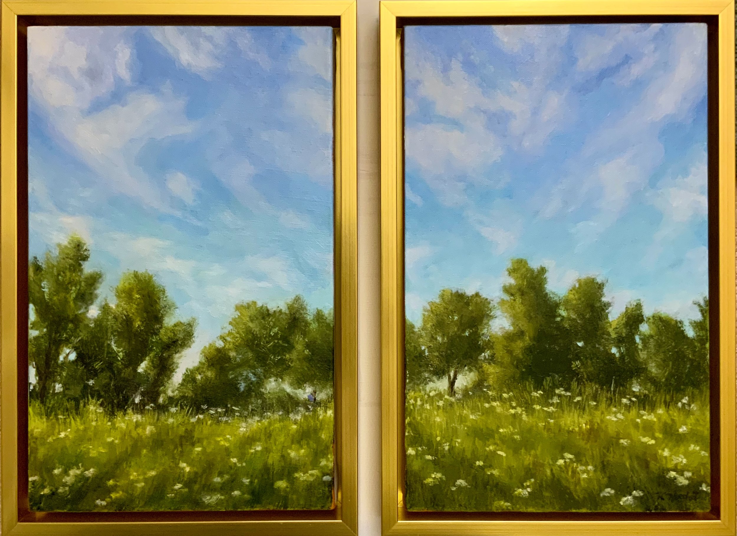 Virga Meadow -- Diptych