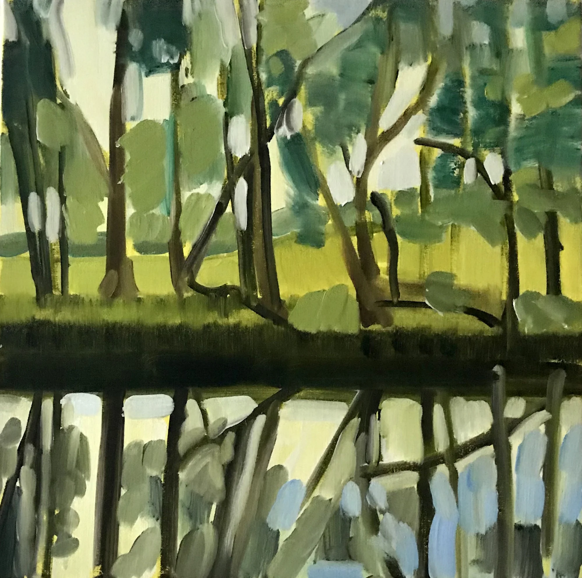 Morning light 46 x 46cm oil on canvas 2019